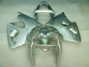 Carenado ZX6R 00-02 - Plata